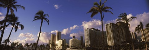 Framed Low angle view of skyscrapers, Honolulu, Hawaii, USA 2010 Print