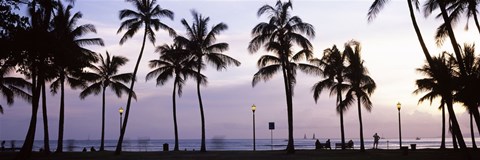 Framed Palm trees on the beach, Waikiki, Honolulu, Oahu, Hawaii (black and white) Print