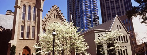Framed Trees in front of a building, Charlotte, Mecklenburg County, North Carolina, USA Print
