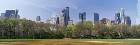 Framed Trees in a park, Central Park South, Central Park, Manhattan, New York City, New York State, USA Print