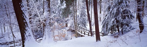 Framed Winter footbridge Cleveland Metro Parks, Cleveland OH USA Print