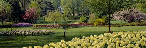 Framed Sherwood Gardens, Baltimore, Maryland Print