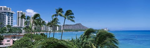 Framed Palm Trees On The Beach, Waikiki Beach, Honolulu, Oahu, Hawaii, USA Print