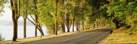 Framed Trees on both sides of a road, Lake Washington Boulevard, Seattle, Washington State, USA Print