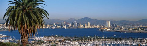 Framed San Diego from a Distance Print