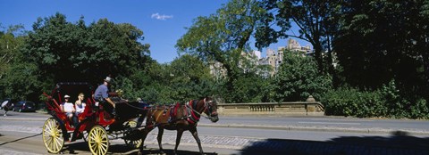 Framed Tourists Traveling In A Horse Cart, NYC, New York City, New York State, USA Print