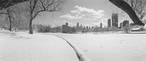 Framed Buildings in a city, Lincoln Park, Chicago, Illinois, USA Print