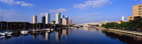 Framed Tampa FL Print
