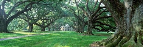 Framed USA, Louisiana, New Orleans, Oak Alley Plantation, plantation home through alley of oak trees Print