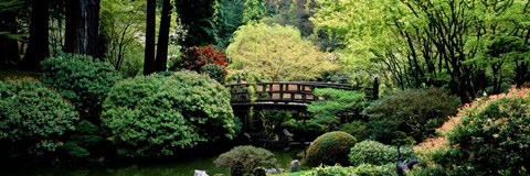 Framed Panoramic view of a garden, Japanese Garden, Washington Park, Portland, Oregon Print