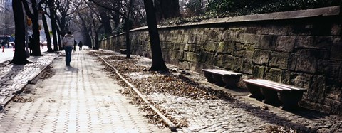 Framed Rear view of a woman walking on a walkway, Central Park, Manhattan, New York City, New York, USA Print