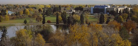 Framed High angle view of trees, Denver, Colorado, USA Print