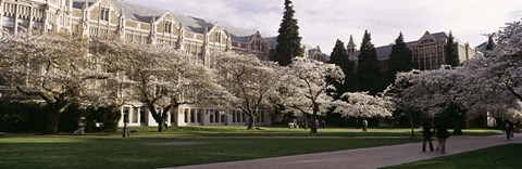 Framed University of Washington, Seattle, King County, Washington State Print