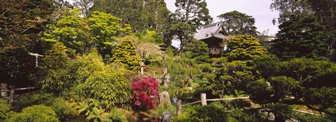 Framed Cottage in a park, Japanese Tea Garden, Golden Gate Park, San Francisco, California, USA Print