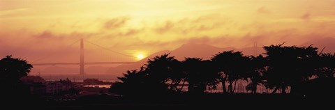 Framed Silhouette of trees at dusk with a bridge in the background, Golden Gate Bridge, San Francisco, California, USA Print