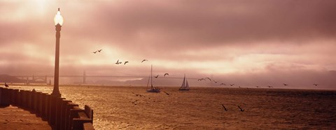 Framed Sailboats in the sea, San Francisco Bay, Golden Gate Bridge, San Francisco, California, USA Print