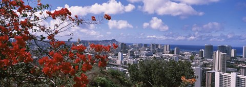 Framed Honolulu Skyline from a Distance (red flowers) Print