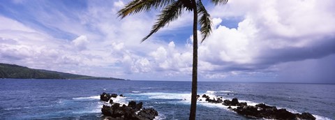 Framed Palm tree on the coast, Honolulu Nui Bay, Nahiku, Maui, Hawaii, USA Print