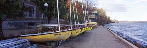 Framed Sailboats in a row, University of Wisconsin, Madison, Dane County, Wisconsin, USA Print
