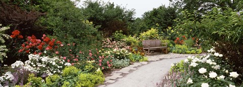 Framed Bench in a garden, Olbrich Botanical Gardens, Madison, Wisconsin, USA Print