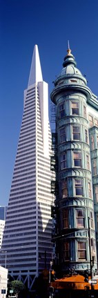 Framed Low angle view of towers, Columbus Tower, Transamerica Pyramid, San Francisco, California, USA Print