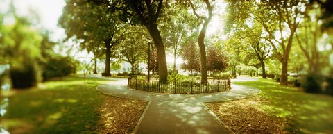 Framed Trees in a park, McCarren Park, Greenpoint, Brooklyn, New York City, New York State, USA Print