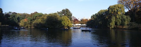 Framed Lake in a park, Central Park, Manhattan, New York City, New York State, USA Print