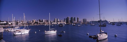 Framed Sailboats in the bay, San Diego, California, USA 2010 Print