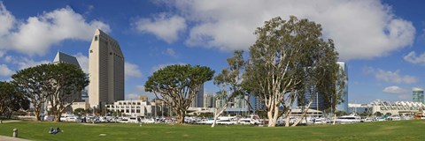 Framed Park in a city, Embarcadero Marina Park, San Diego, California, USA 2010 Print