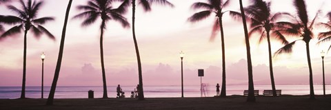 Framed Palm trees on the beach, Waikiki, Honolulu, Oahu, Hawaii Print