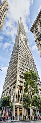 Framed Low angle view of skyscrapers, Transamerica Pyramid, San Francisco, California, USA 2011 Print