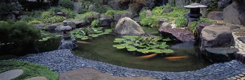Framed Japanese Garden, University of California, Los Angeles Print