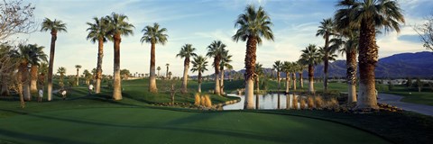 Framed Palm trees in a golf course, Desert Springs Golf Course, Palm Springs, Riverside County, California, USA Print