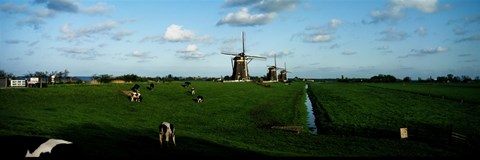Framed Windmills, Netherlands Print
