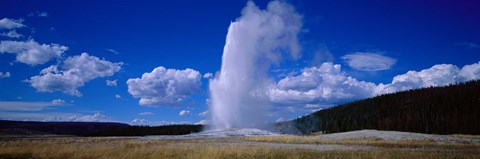 Framed Old Faithful, Yellowstone National Park, Wyoming, USA Print