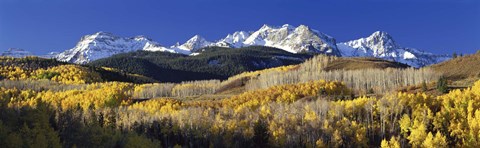Framed USA, Colorado, Rocky Mountains, aspens, autumn Print