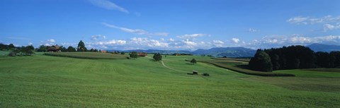 Framed View Along Rural Hillside, Zurich, Switzerland Print