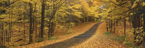 Framed Autumn Road, Emery Park, New York State, USA Print