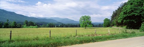 Framed Road Along A Grass Field, Cades Cove, Great Smoky Mountains National Park, Tennessee, USA Print