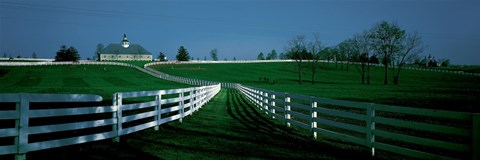 Framed USA, Kentucky, Lexington, horse farm Print