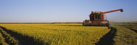 Framed Combine in a rice field, Glenn County, California, USA Print