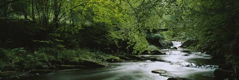 Framed River flowing in the forest, Aberfeldy, Perthshire, Scotland Print