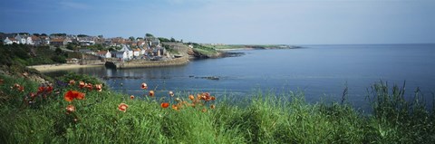 Framed Town at the waterfront, Crail, Fife, Scotland Print