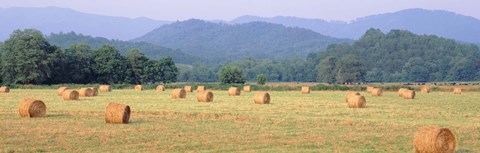 Framed Hay bales in a field, Murphy, North Carolina, USA Print
