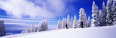 Framed Steamboat Springs, Colorado, USA Print