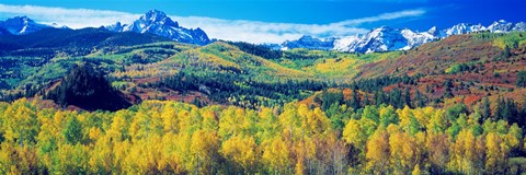 Framed San Juan Mountains, Colorado, USA Print