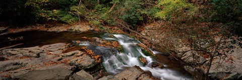 Framed White Water The Great Smoky Mountains TN USA Print