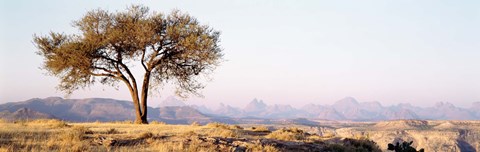 Framed Tree in a field with a mountain range in the background, Debre Damo, Tigray, Ethiopia Print