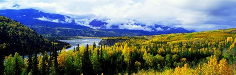Framed Panoramic View Of A Landscape, Yukon River, Alaska, USA, Print