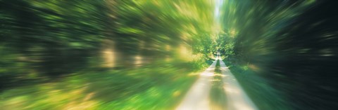 Framed Road, Greenery, Trees, Germany Print